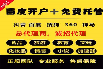 SEO百度推广策略：成功案例解析